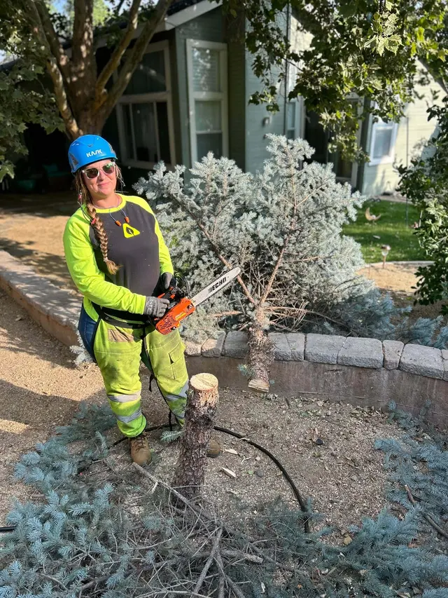 American Arborists Tree Service — photo from the business 7