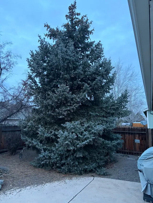 Customer photo from Sherrron's review