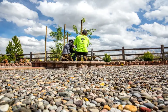 American Arborists Tree Service — photo from the business 11