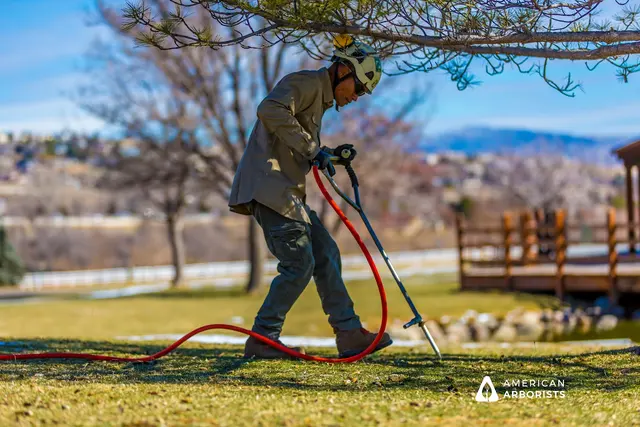 American Arborists Tree Service — photo from the business 1