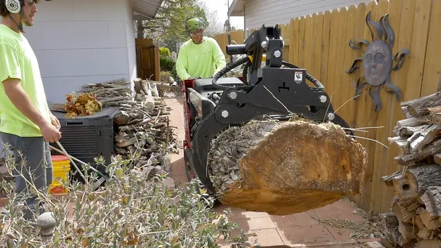 American Arborists Tree Service — photo from the business 10