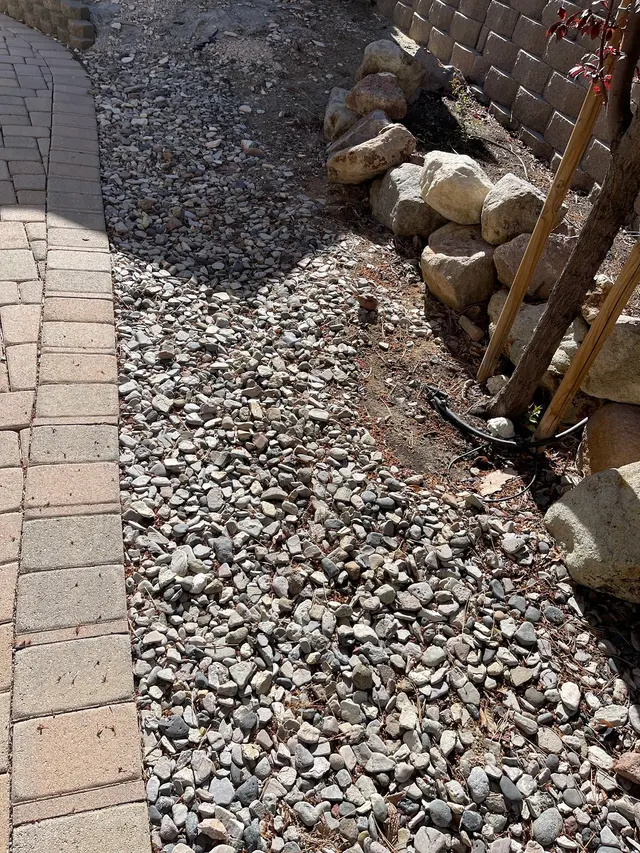 Customer photo from White's review