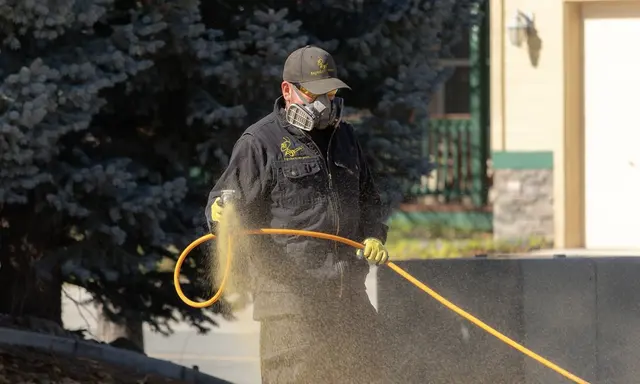 Progressive Pest Management and Weed Control — photo from the business 2