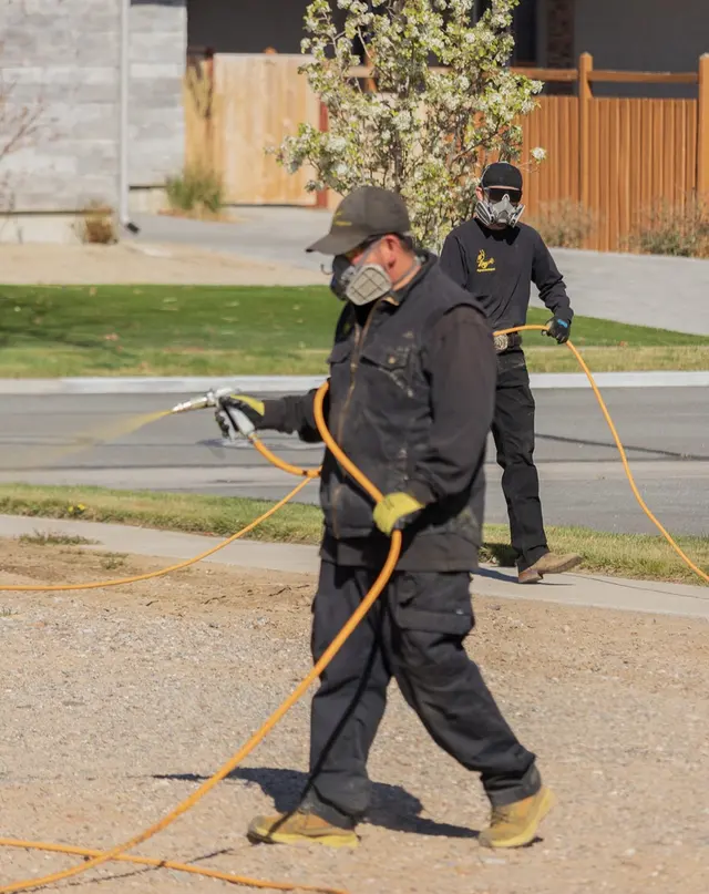 Progressive Pest Management and Weed Control — photo from the business 6