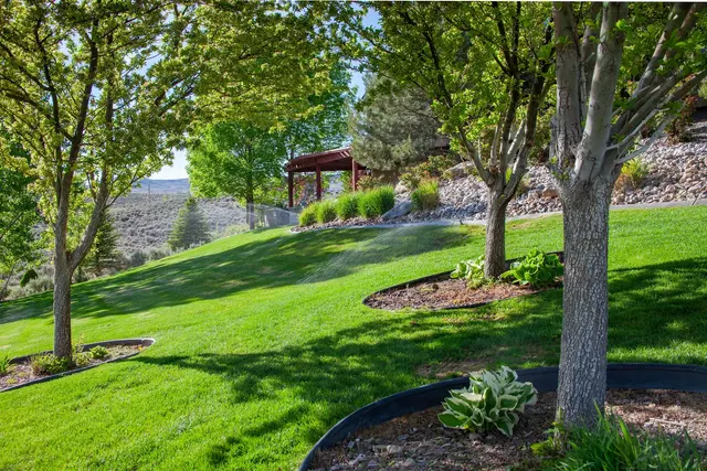Progressive Pest Management and Weed Control — customer photo 3