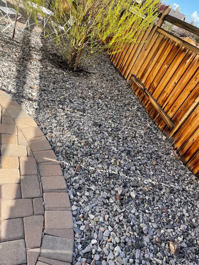 Progressive Pest Management and Weed Control — customer photo 5