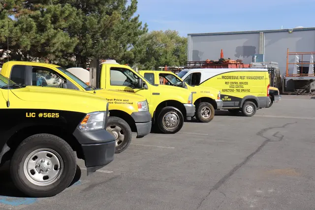 Progressive Pest Management and Weed Control — photo from the business 1