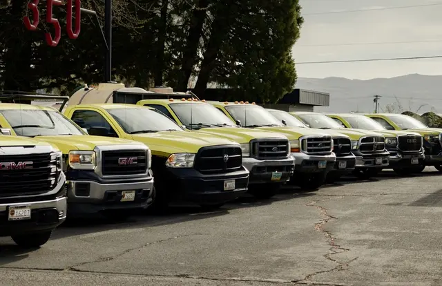 Progressive Pest Management and Weed Control — photo from the business 4