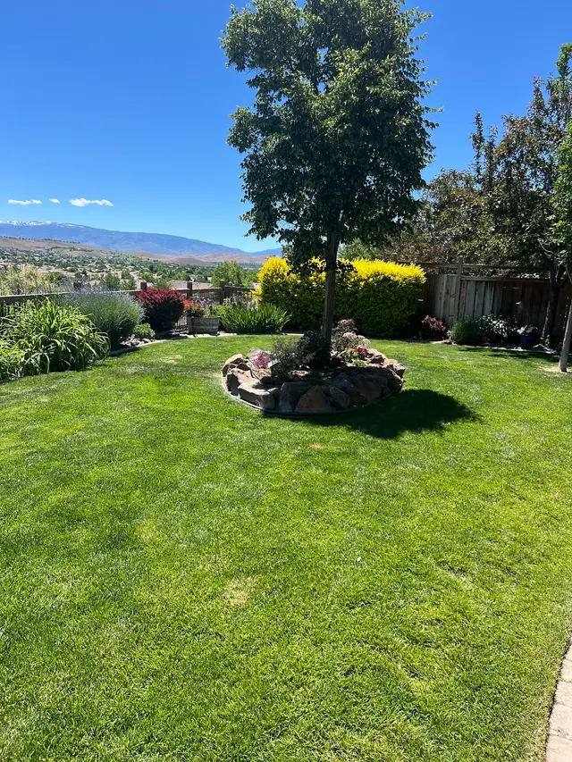 Tailored Lawn Care, LLC — customer photo 10