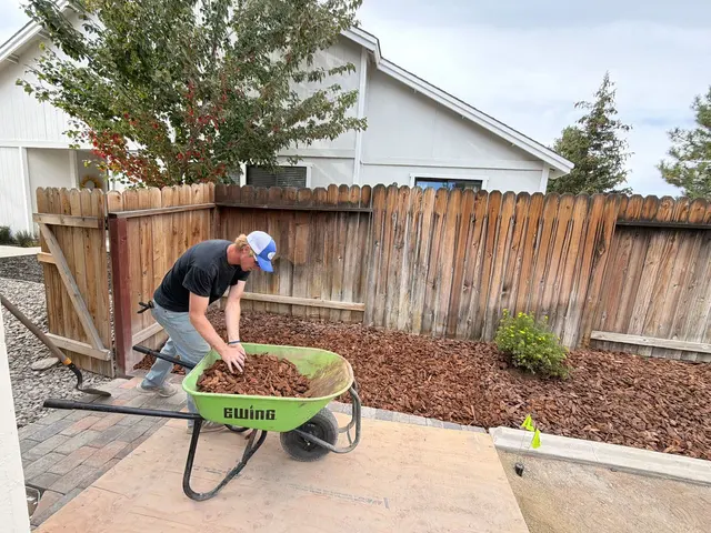Tailored Lawn Care, LLC — photo from the business 5
