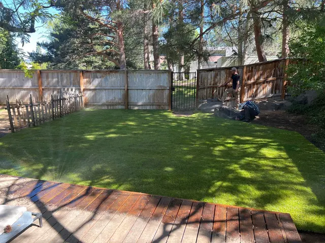 Tailored Lawn Care, LLC — photo from the business 4
