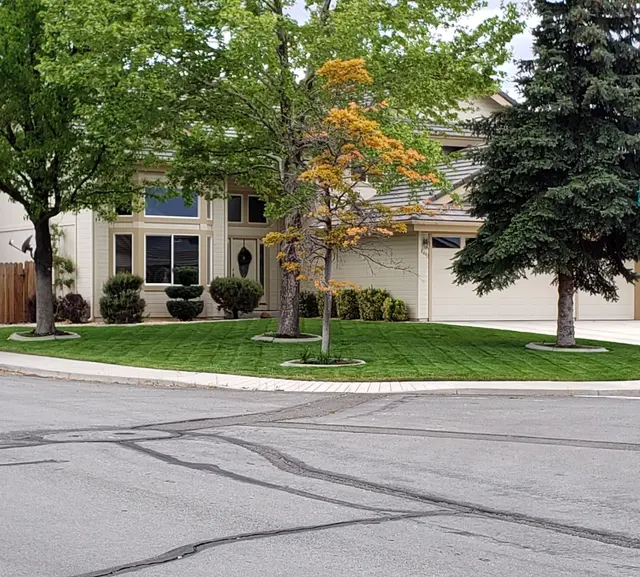 Tailored Lawn Care, LLC — photo from the business 12