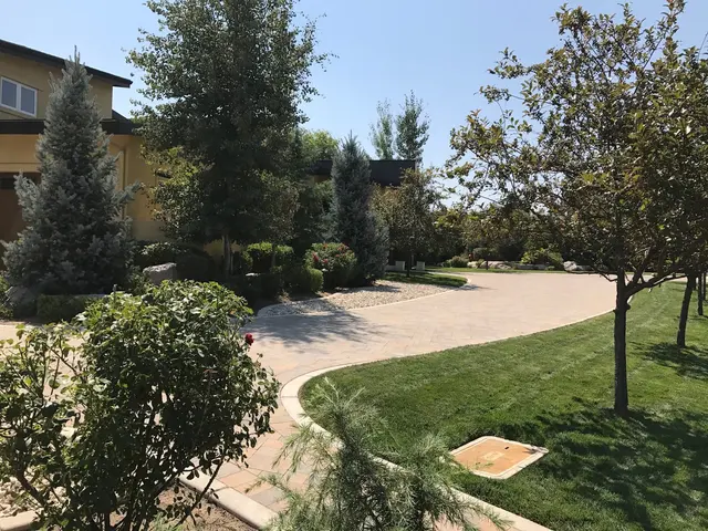 Tailored Lawn Care, LLC — photo from the business 7