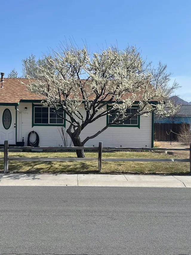 Wilson Tree Works — customer photo 11