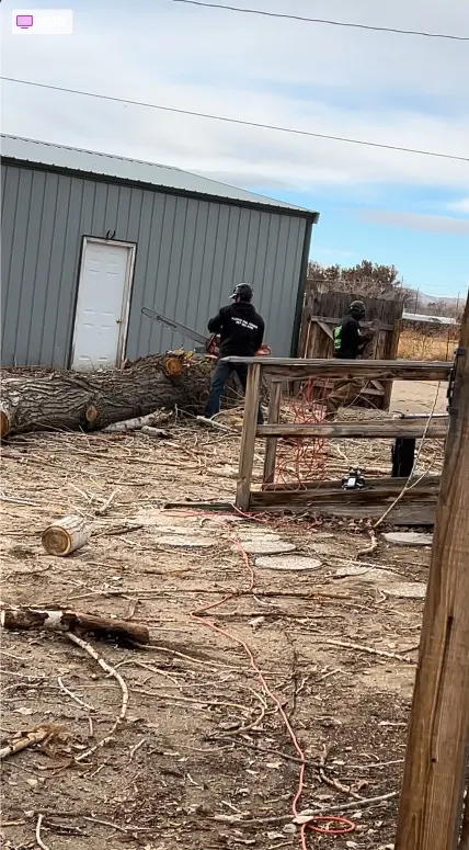 Wilson Tree Works — customer photo 9