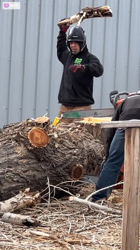 Wilson Tree Works — customer photo 12