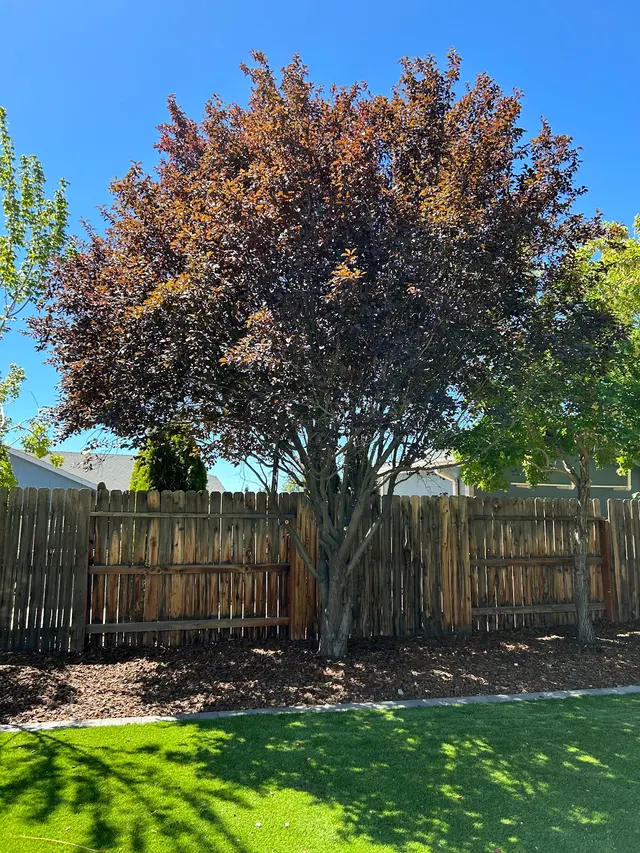Iron Horse Lawn and Landscaping — photo from the business 3
