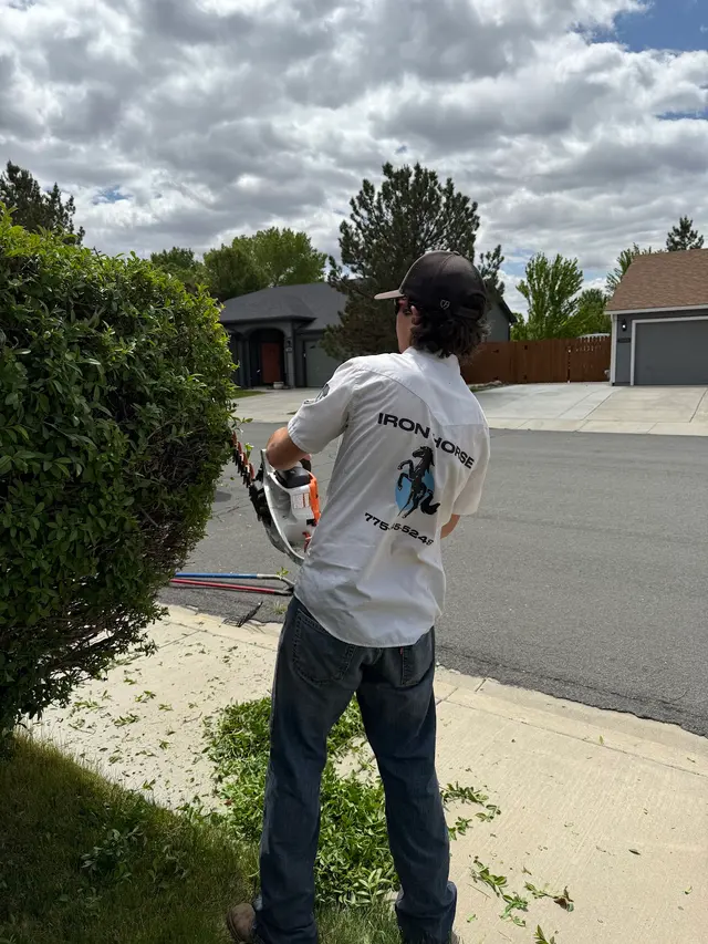 Iron Horse Lawn and Landscaping — photo from the business 8