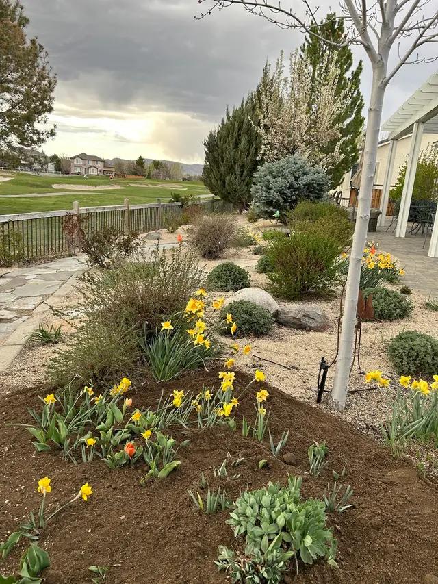 Iron Horse Lawn and Landscaping — photo from the business 9