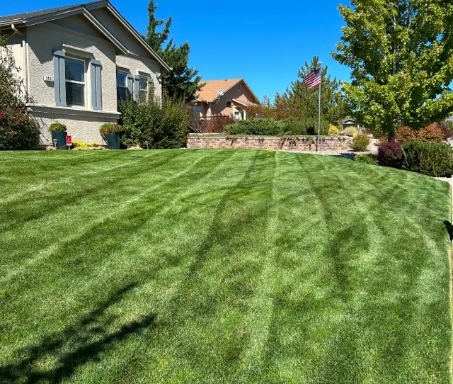 Iron Horse Lawn and Landscaping — photo from the business 1
