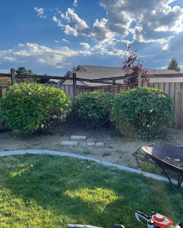 Iron Horse Lawn and Landscaping — photo from the business 10