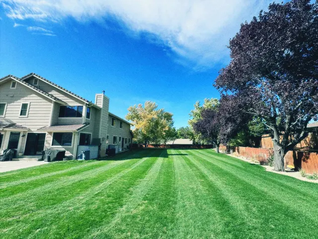 Iron Horse Lawn and Landscaping — customer photo 2