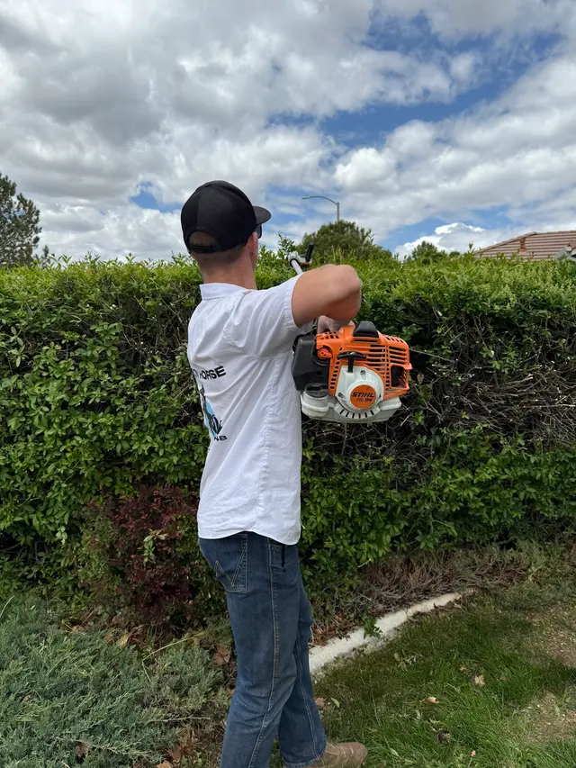 Iron Horse Lawn and Landscaping — photo from the business 12