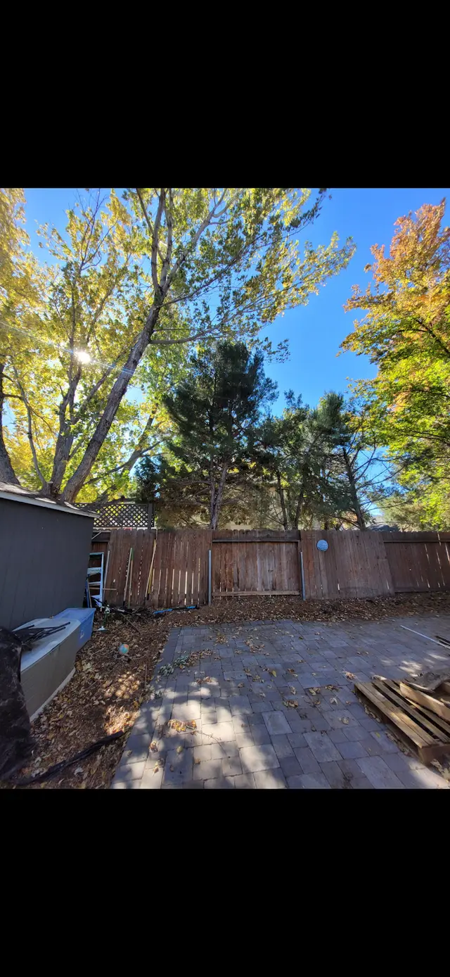 Transformed Tree Care — customer photo 9