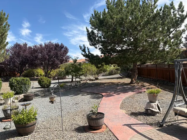 Transformed Tree Care — customer photo 3