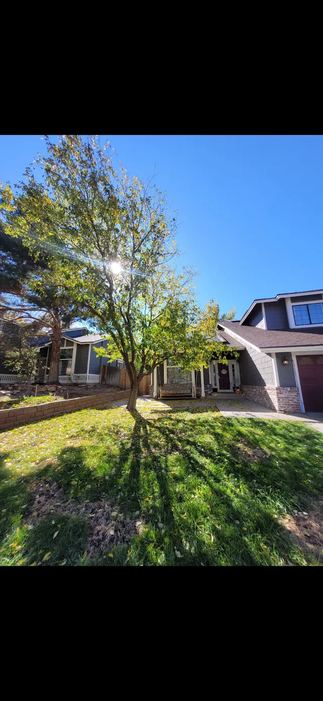 Transformed Tree Care — customer photo 11