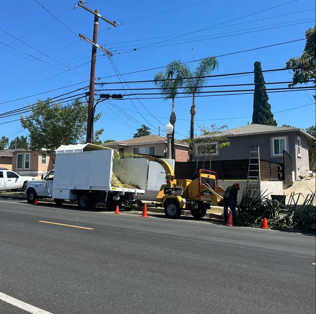 EVERARDO'S TREE CARE — photo from the business 1
