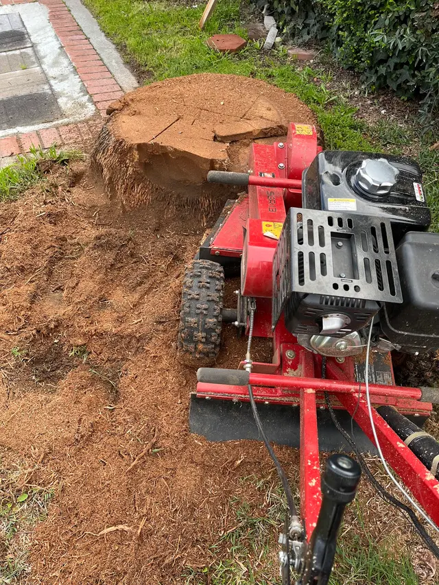 EVERARDO'S TREE CARE — photo from the business 8