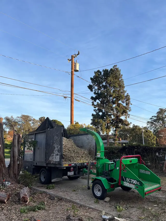 EVERARDO'S TREE CARE — photo from the business 4