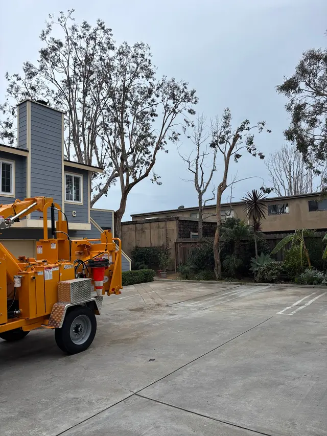 Zamora Tree Services — photo from the business 8