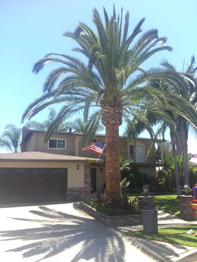 Zamora Tree Services — photo from the business 7