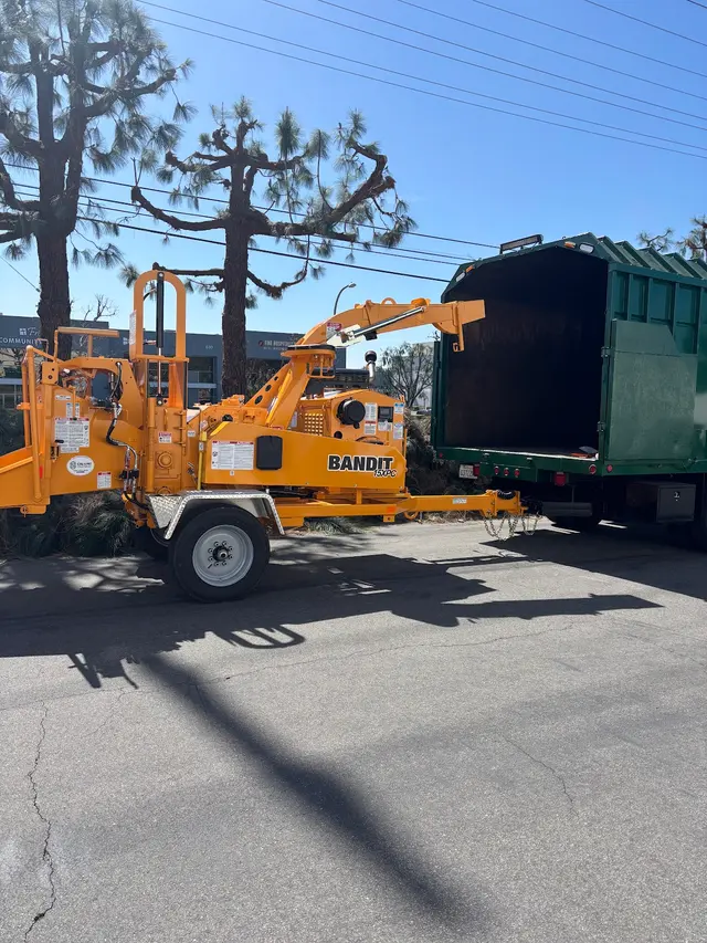 Zamora Tree Services — photo from the business 10