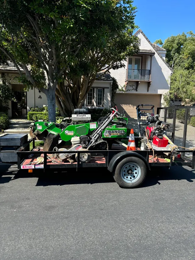Zamora Tree Services — photo from the business 11
