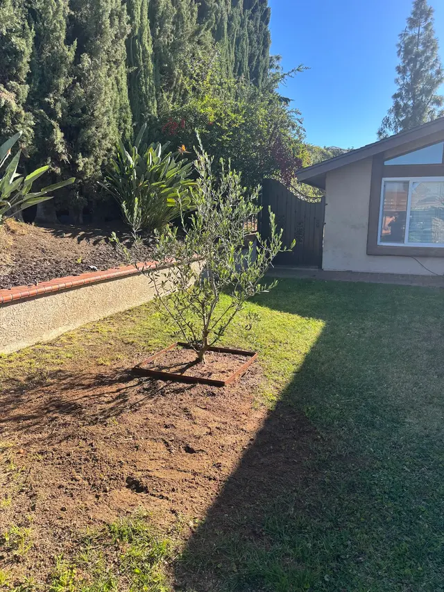 Zamora Tree Services — customer photo 2