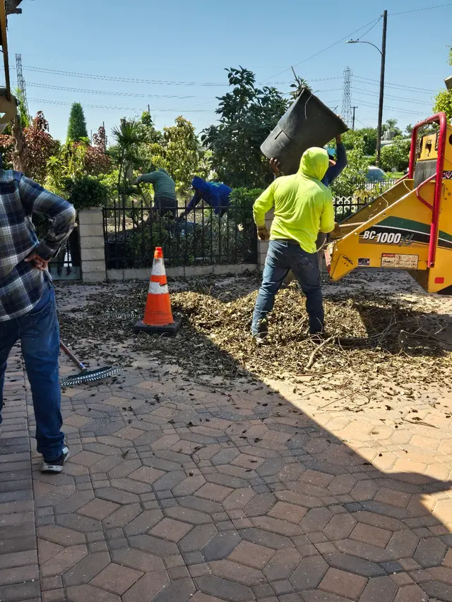 Zamora Tree Services — customer photo 9