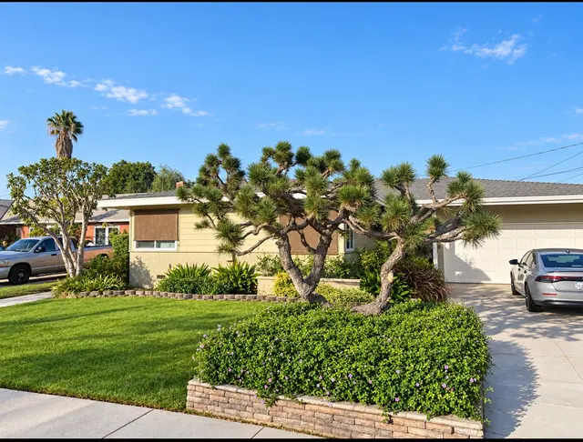 Zamora Tree Services — customer photo 6
