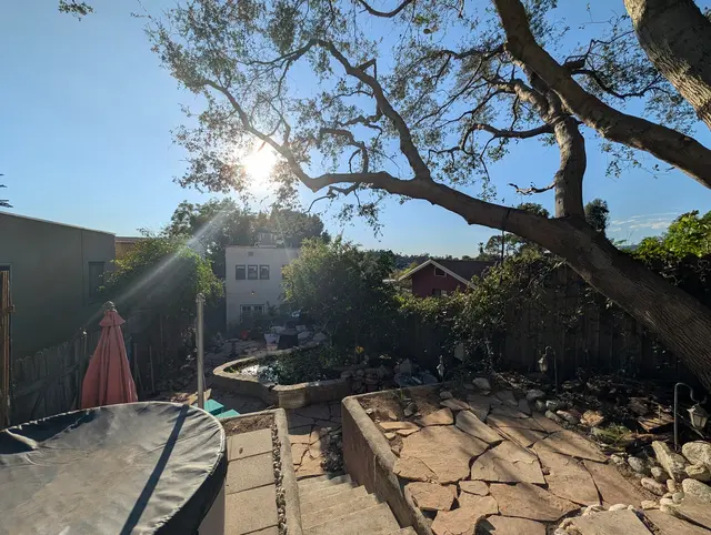 Customer photo of work by Alex Tree Service, from Greg Nelson's review