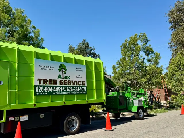 Alex Tree Service — photo from the business 1