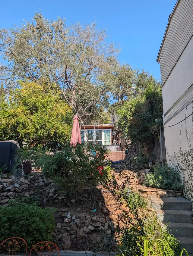 Customer photo of work by Alex Tree Service, from Greg Nelson's review
