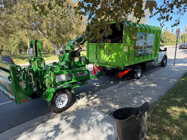 Alex Tree Service — photo from the business 5