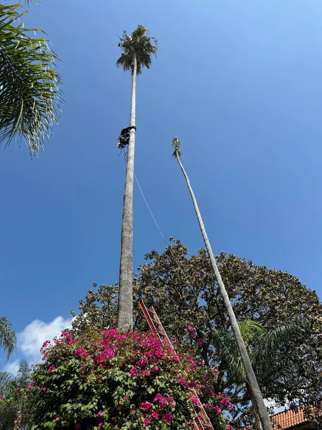 Think Green Tree Care Inc. — photo from the business 4