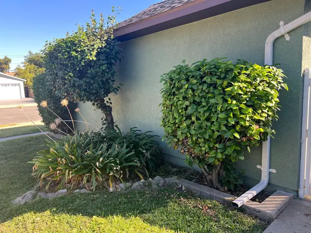 Think Green Tree Care Inc. — customer photo 8