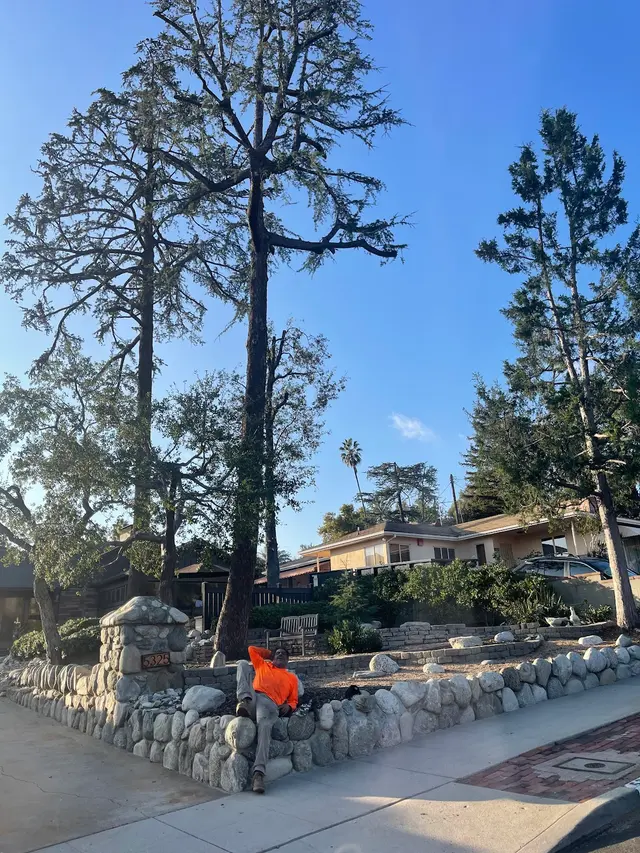 Think Green Tree Care Inc. — customer photo 9