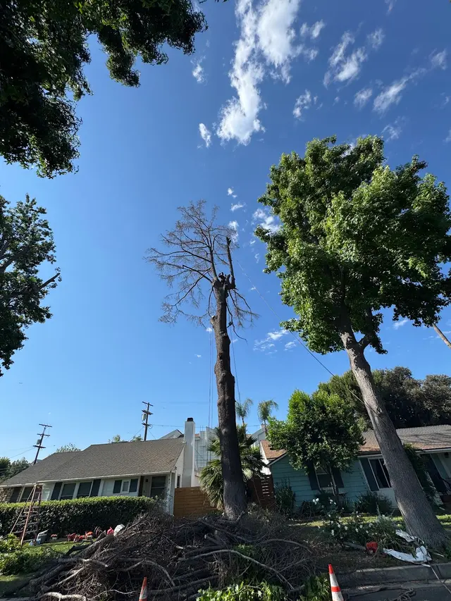 Think Green Tree Care Inc. — photo from the business 3