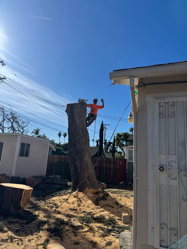 Think Green Tree Care Inc. — photo from the business 12