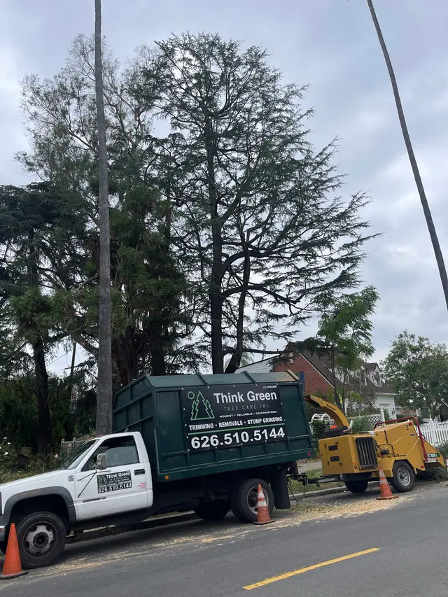 Think Green Tree Care Inc. — photo from the business 1